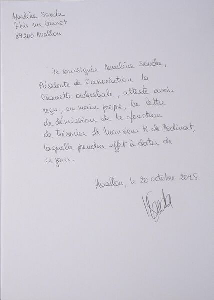 Fichier:DemissionBaudoinDeBodinat 20102025 002.jpg