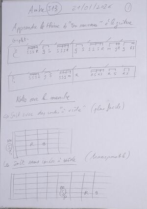 Cours Ambre J13 001.jpg