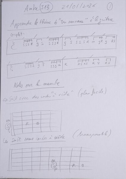 Fichier:Cours Ambre J13 001.jpg