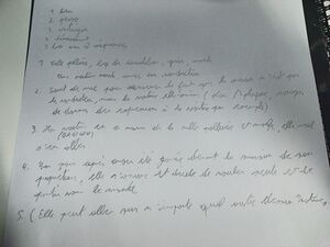 SashaEtThomas sequence1.jpg