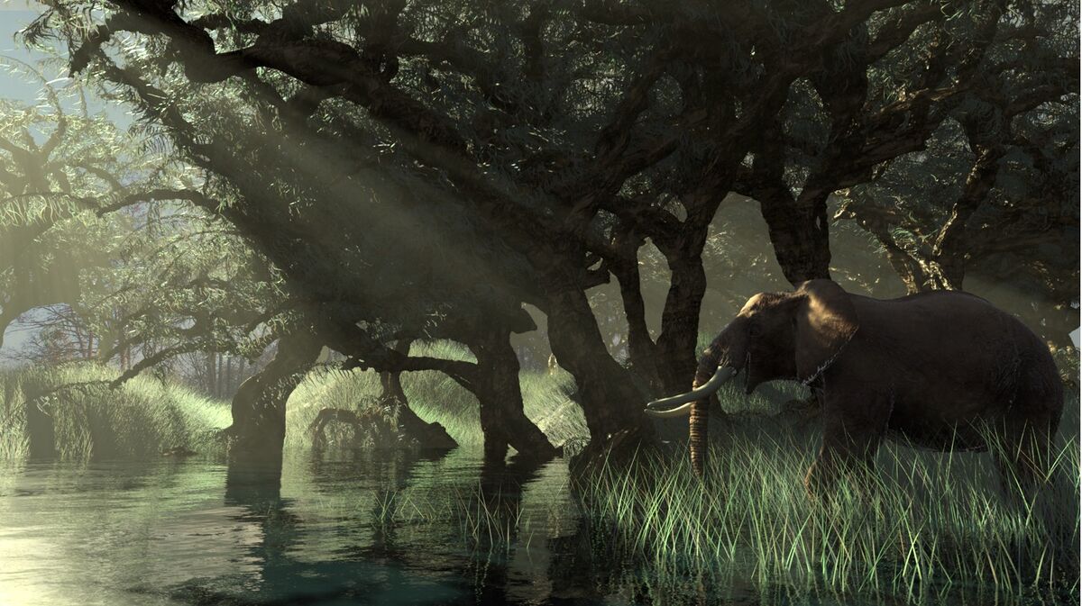 Photons FG v161 pshp.jpg