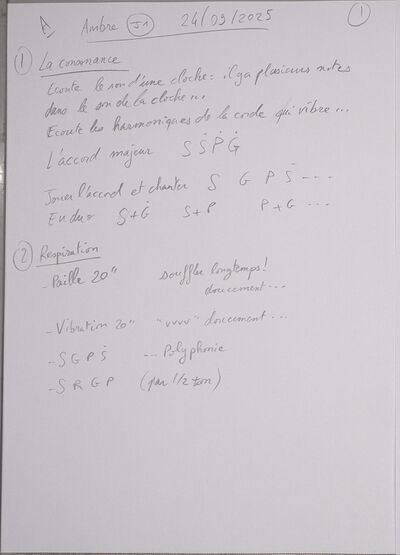 Cours Ambre J1 001.jpg