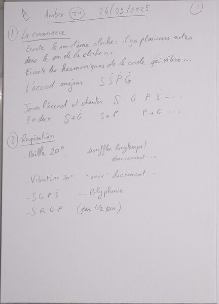 Fichier:Cours Ambre J1 001.jpg