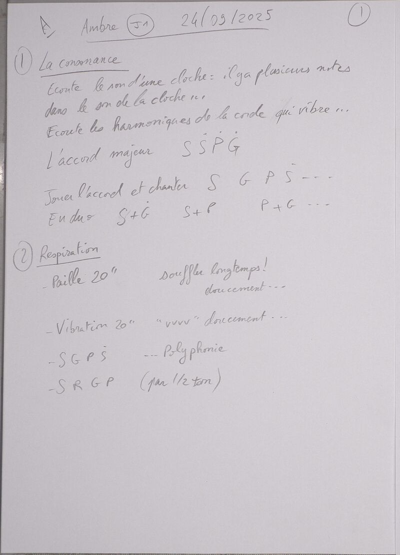 Cours Ambre J1 001.jpg