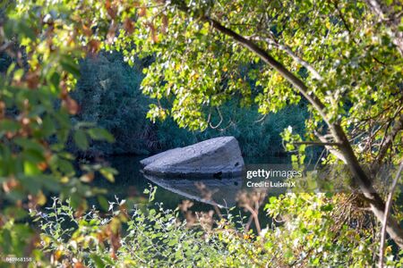Branches gettyimages-840968158-2048x2048.jpg