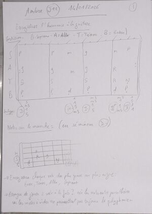 Cours Ambre J12 001.jpg