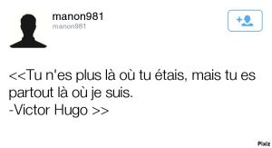 Photo reseaux sociaux petit velo twitter.jpg