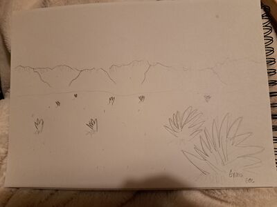 Armelle ennuiSec.jpg