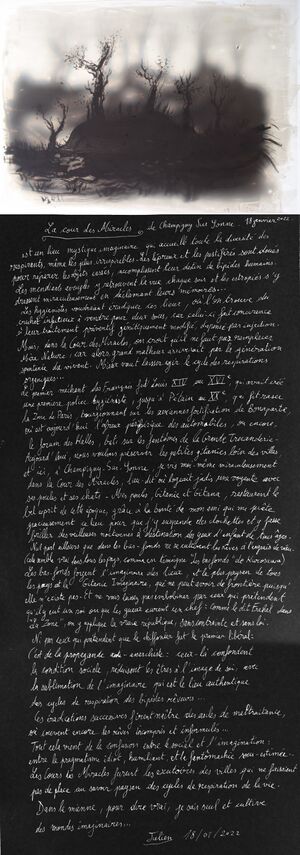 LaCourDesMiracles 001 small.jpg