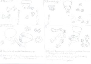 Cosmos story 0002.jpg