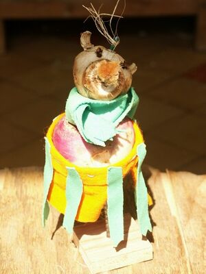 DDU Créactiv'été 2005 0079.jpg