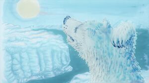 ECO2 lourspolaire00226.jpg