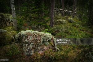 Rocher gettyimages-1763184589-2048x2048.jpg