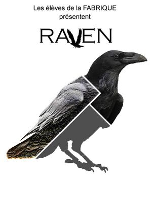 Raven 2.jpg
