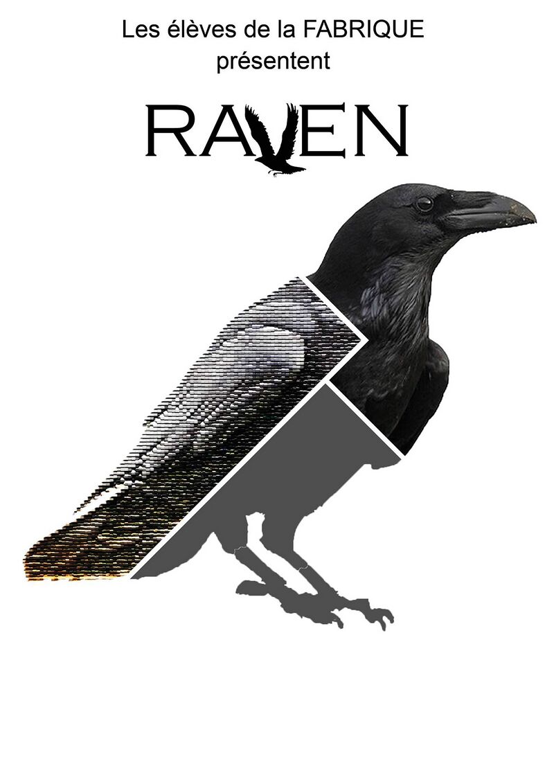 Raven 2.jpg