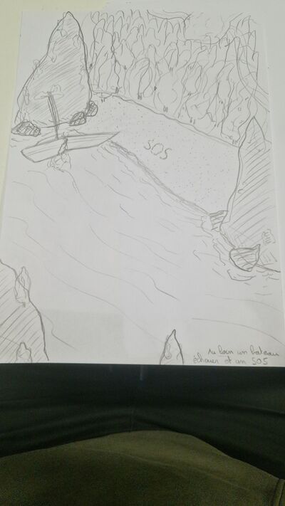 Emerence contraire.jpg