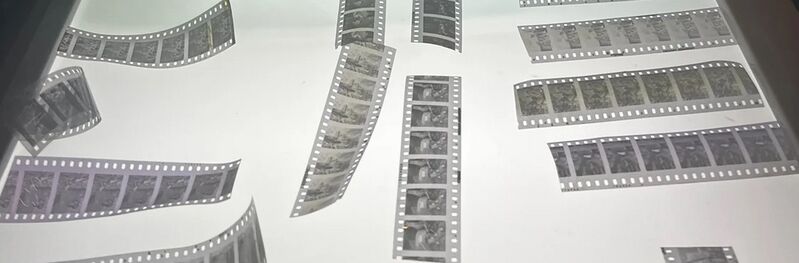 Fichier:Nazrati pellicules 001.jpg