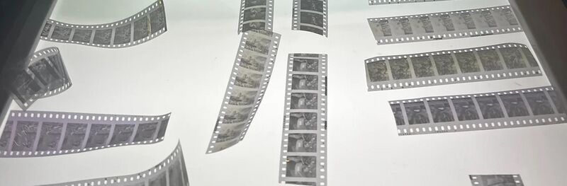 Nazrati pellicules 001.jpg