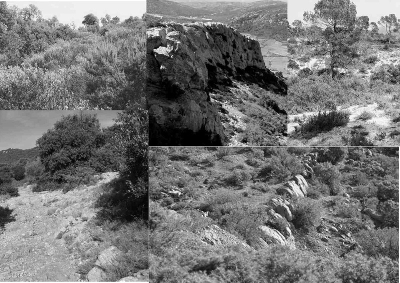 Fichier:PasseursDeMemoire referencesImage 001 compression.pdf