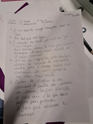 Armelle sequence1.jpg