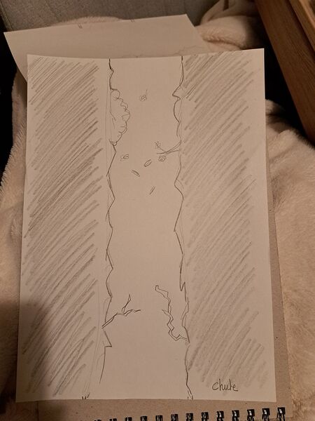 Fichier:Armelle chute.jpg